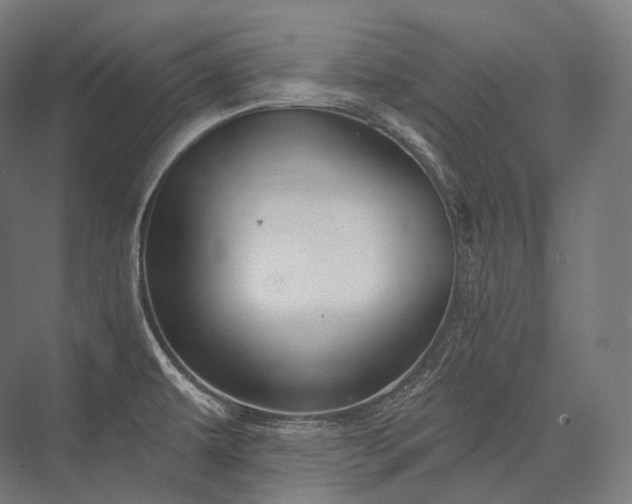 X0000076381479200610061111