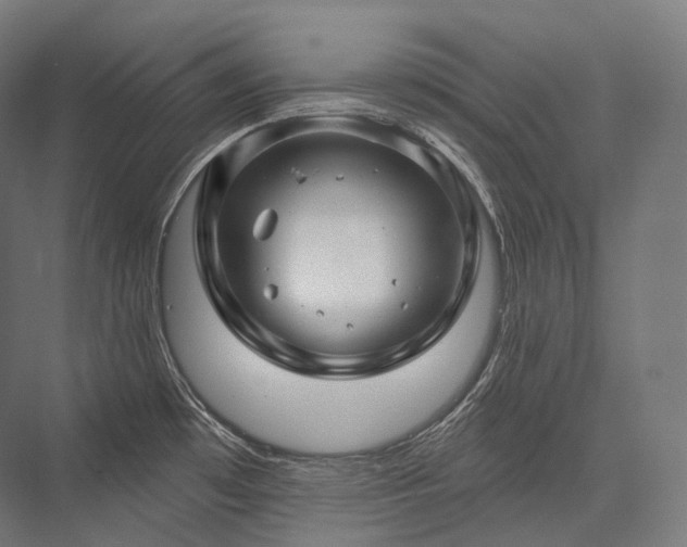 X0000076381481200610061111