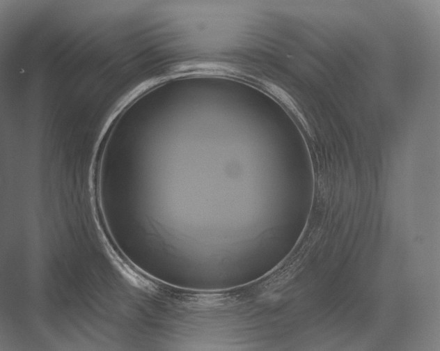 X0000076381482200610061111