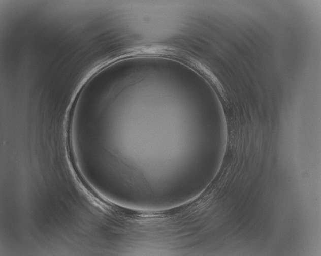 X0000076381483200610061111