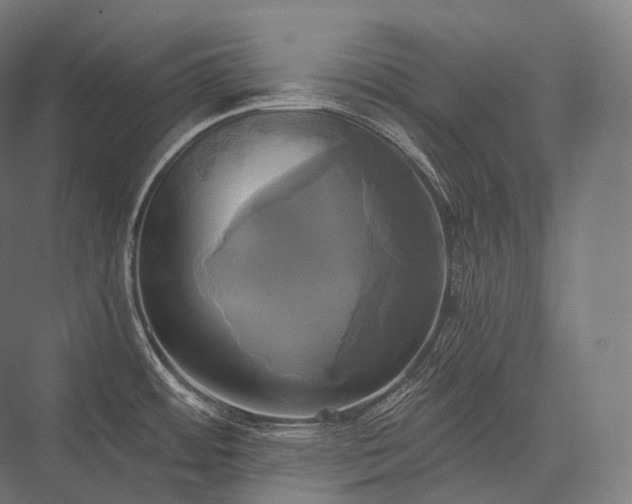 X0000076381484200610061111