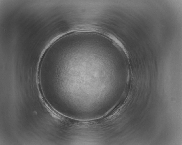 X0000076381485200610061111