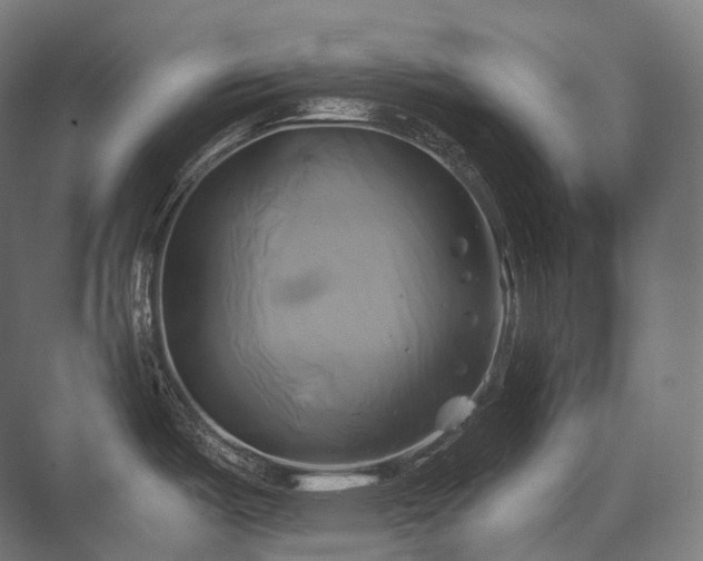 X0000076381487200610061111