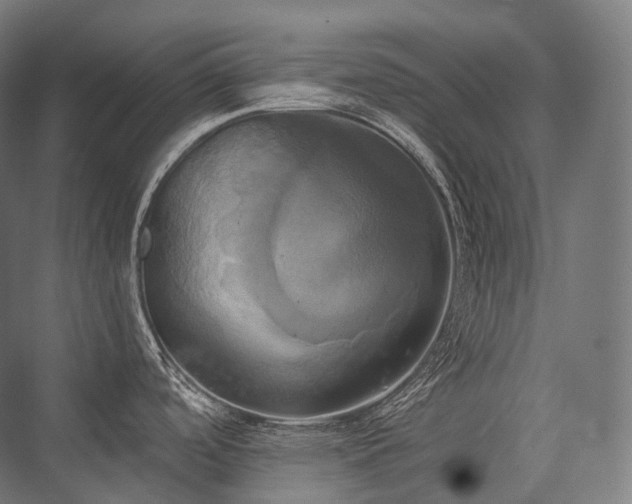 X0000076381488200610061111