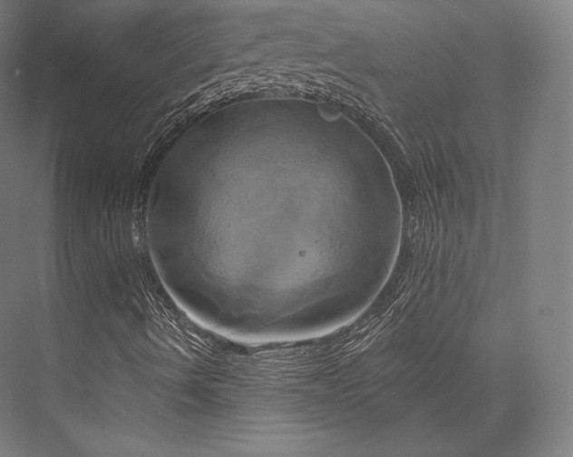 X0000076381490200610061110