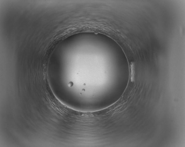 X0000076381491200610061110