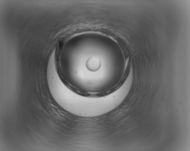 X0000076381492200610061110