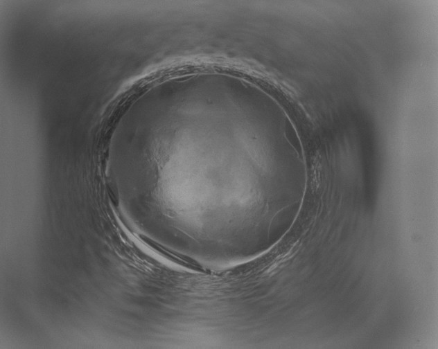 X0000076381494200610061110