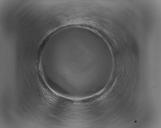 X0000076381497200610061111