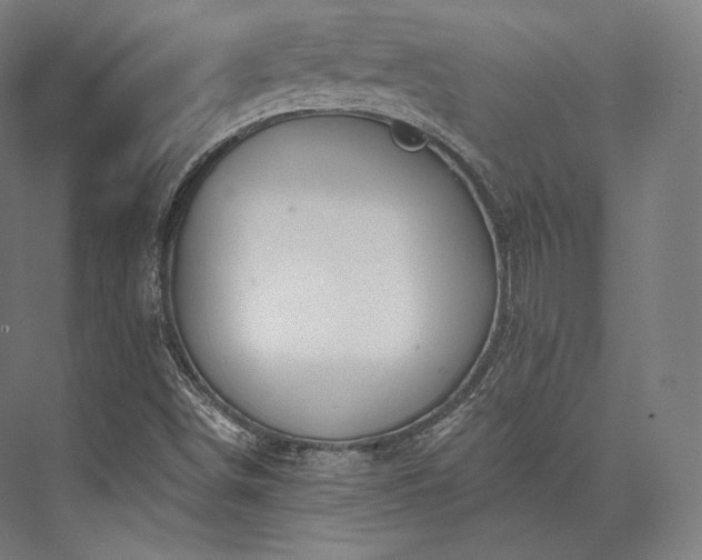 X0000076381498200610061111