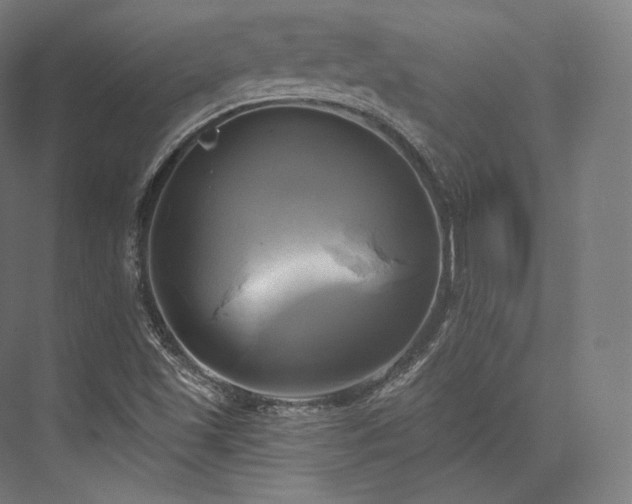 X0000076381501200610061111