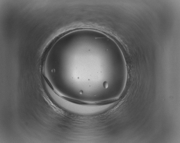 X0000076381503200610061111