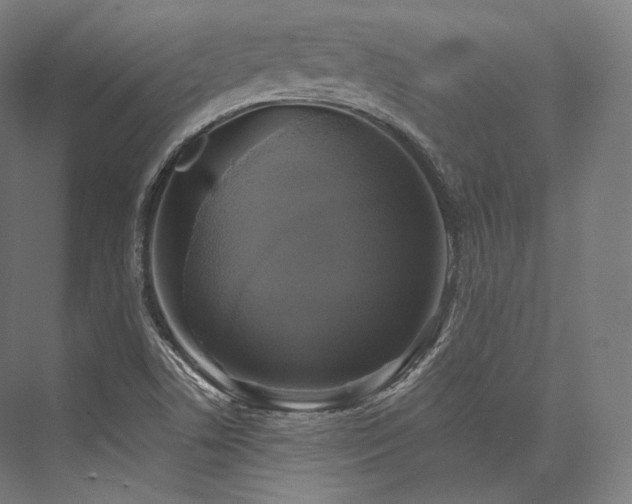 X0000076381506200610061111