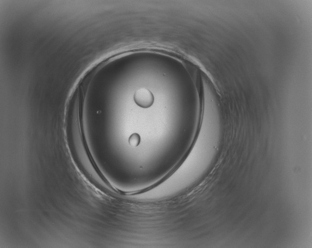 X0000076381508200610061111