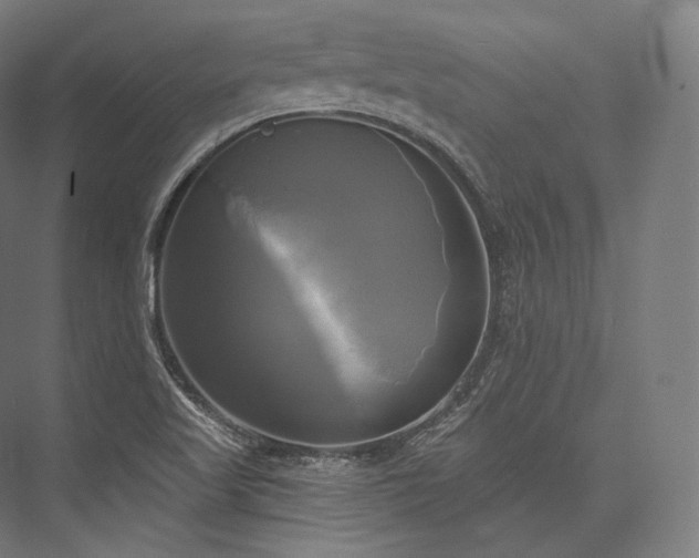 X0000076381509200610061111