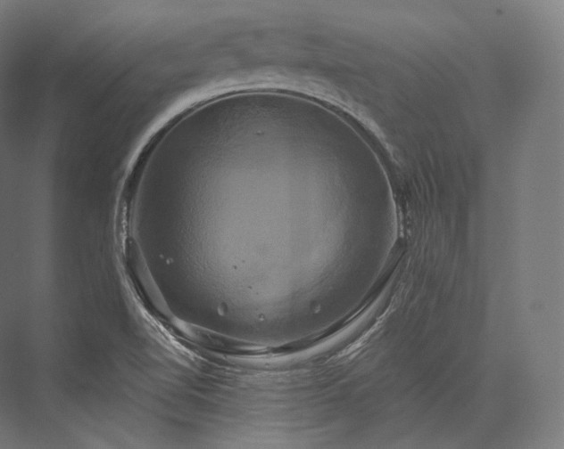 X0000076381510200610061111