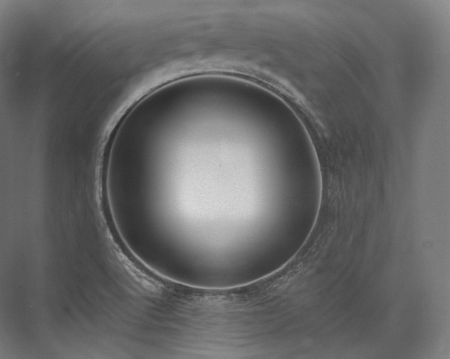 X0000076381512200610061111