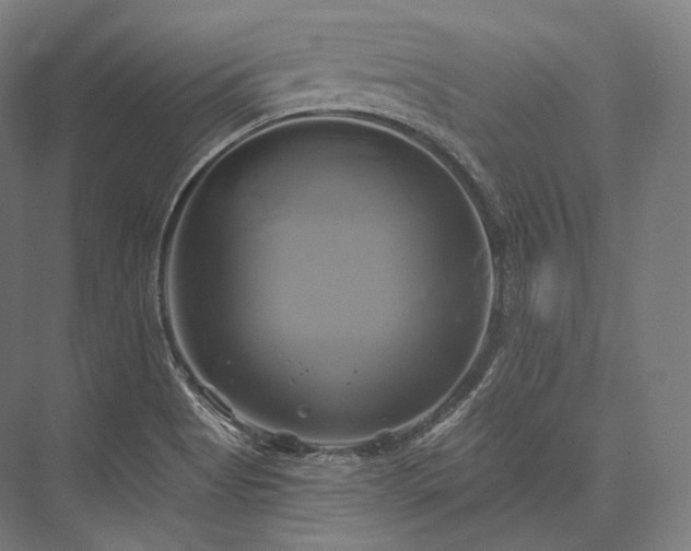 X0000076381513200610061111