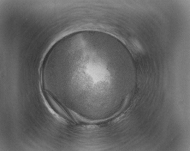 X0000076381515200610061111