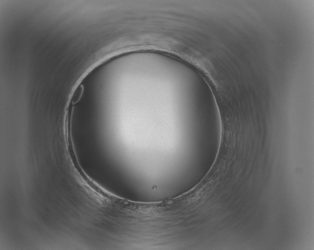 X0000076381516200610061111