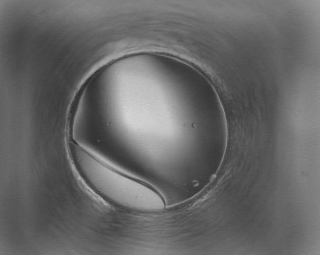 X0000076381518200610061111