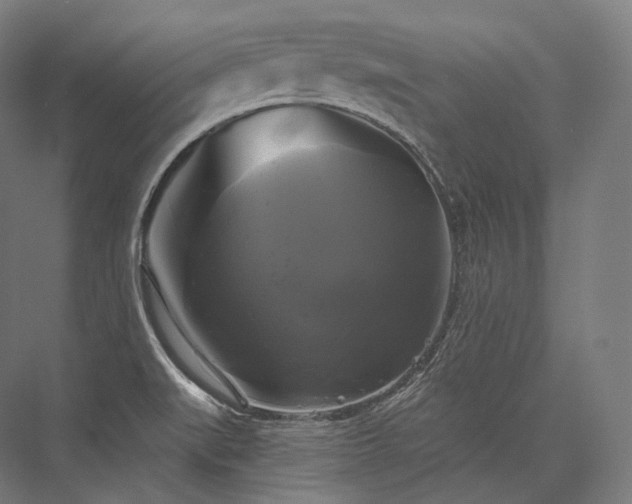 X0000076381519200610061111