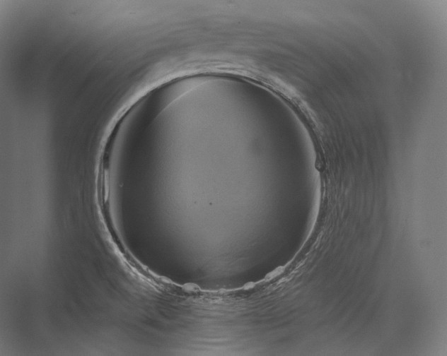 X0000076381520200610061111