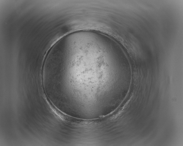 X0000076381521200610061111