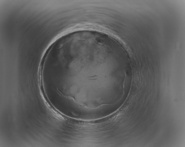 X0000076381522200610061111