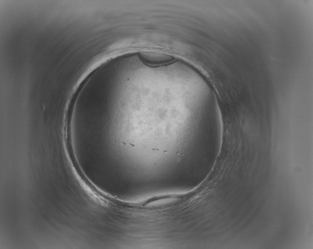 X0000076381523200610061111