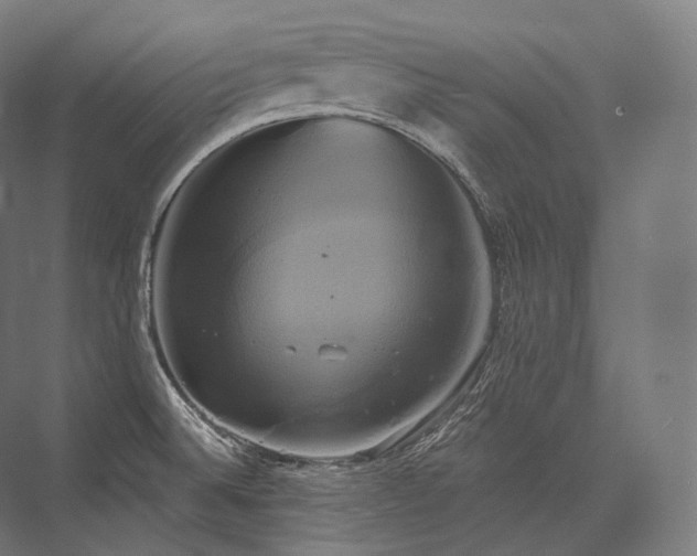 X0000076381524200610061111