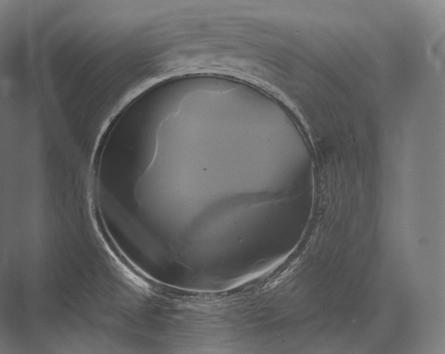 X0000076381525200610061111