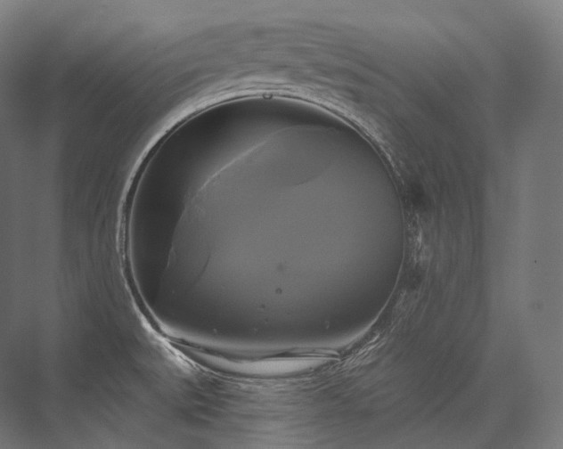 X0000076381527200610061111