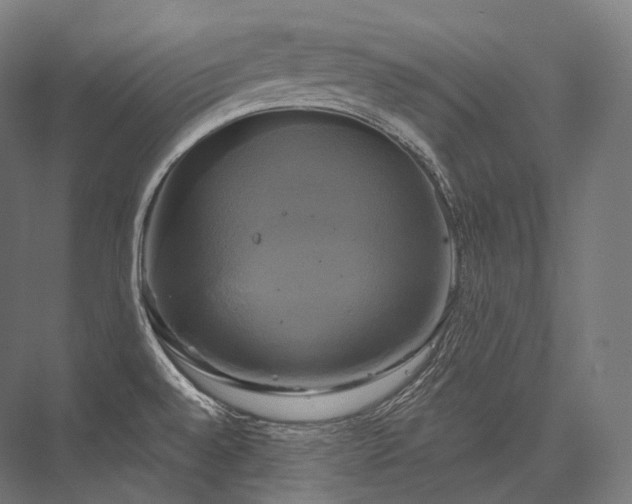 X0000076381528200610061111