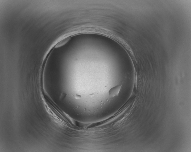 X0000076381530200610061111