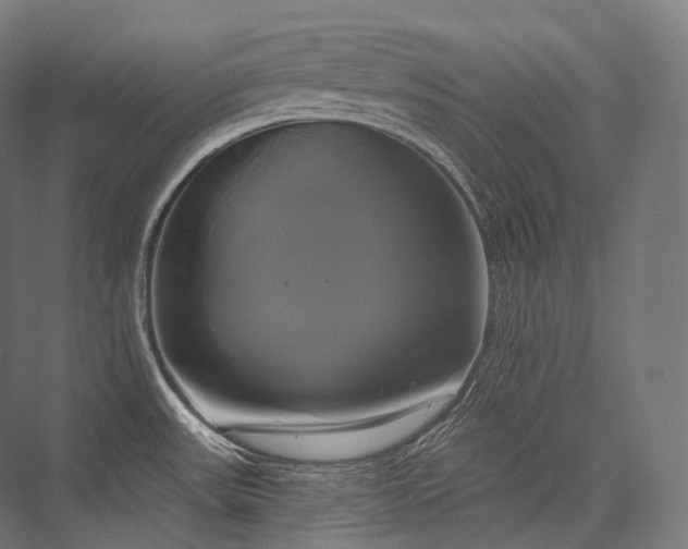 X0000076381531200610061111