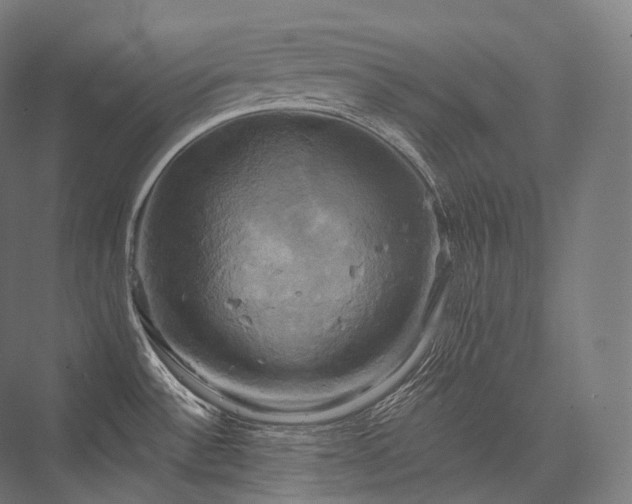 X0000076381532200610061111