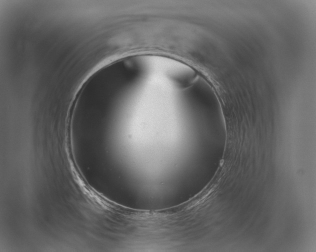 X0000076381534200610061111