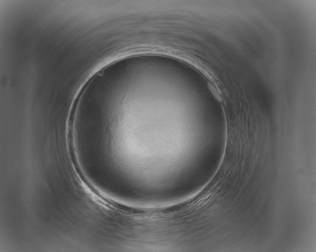 X0000076381535200610061111