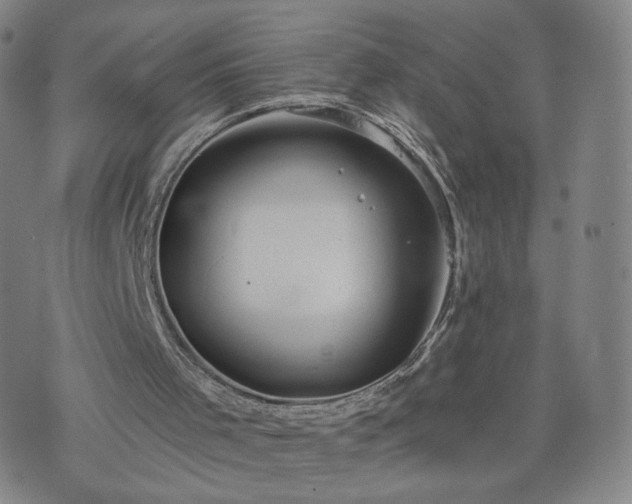 X0000076380001200610161127