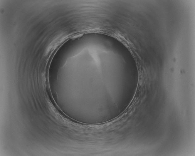 X0000076380002200610161127