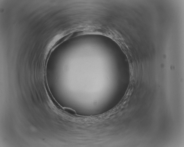 X0000076380003200610161127