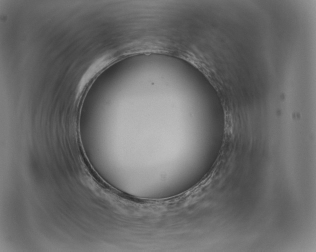 X0000076380004200610161127