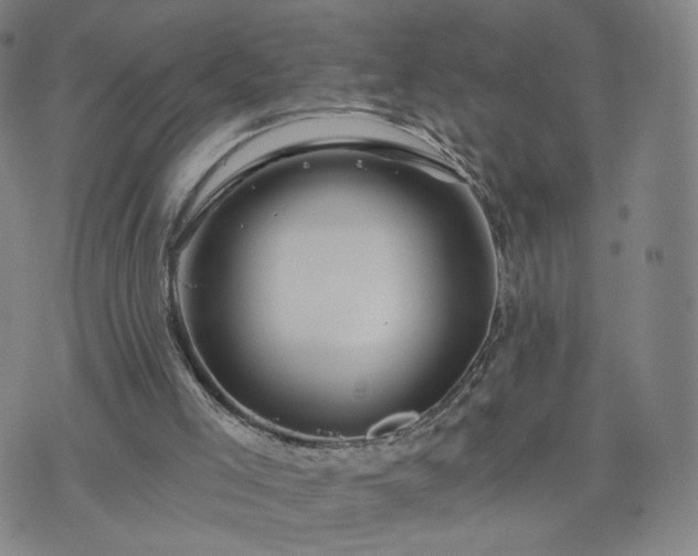 X0000076380005200610161127