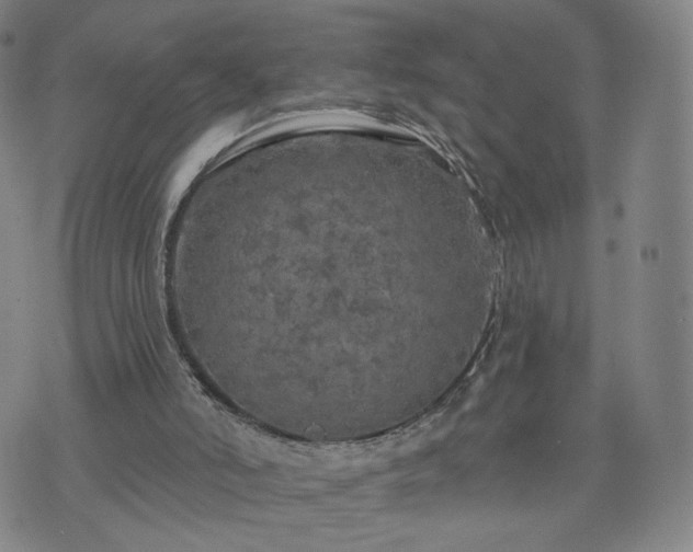 X0000076380006200610161127