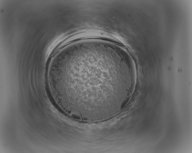 X0000076380007200610161127