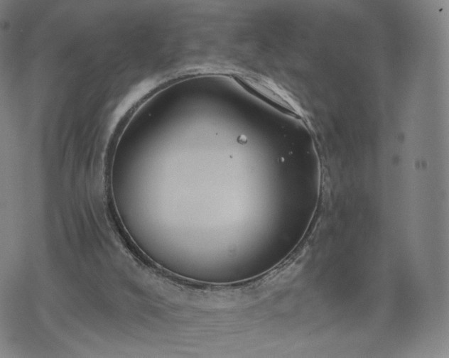 X0000076380008200610161127