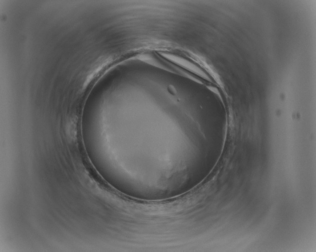 X0000076380010200610161127