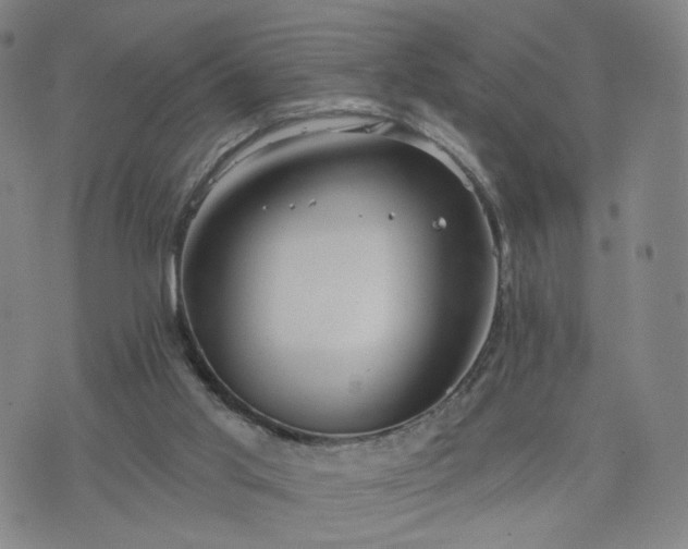 X0000076380013200610161126