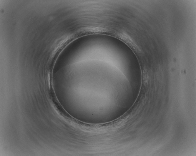 X0000076380014200610161126